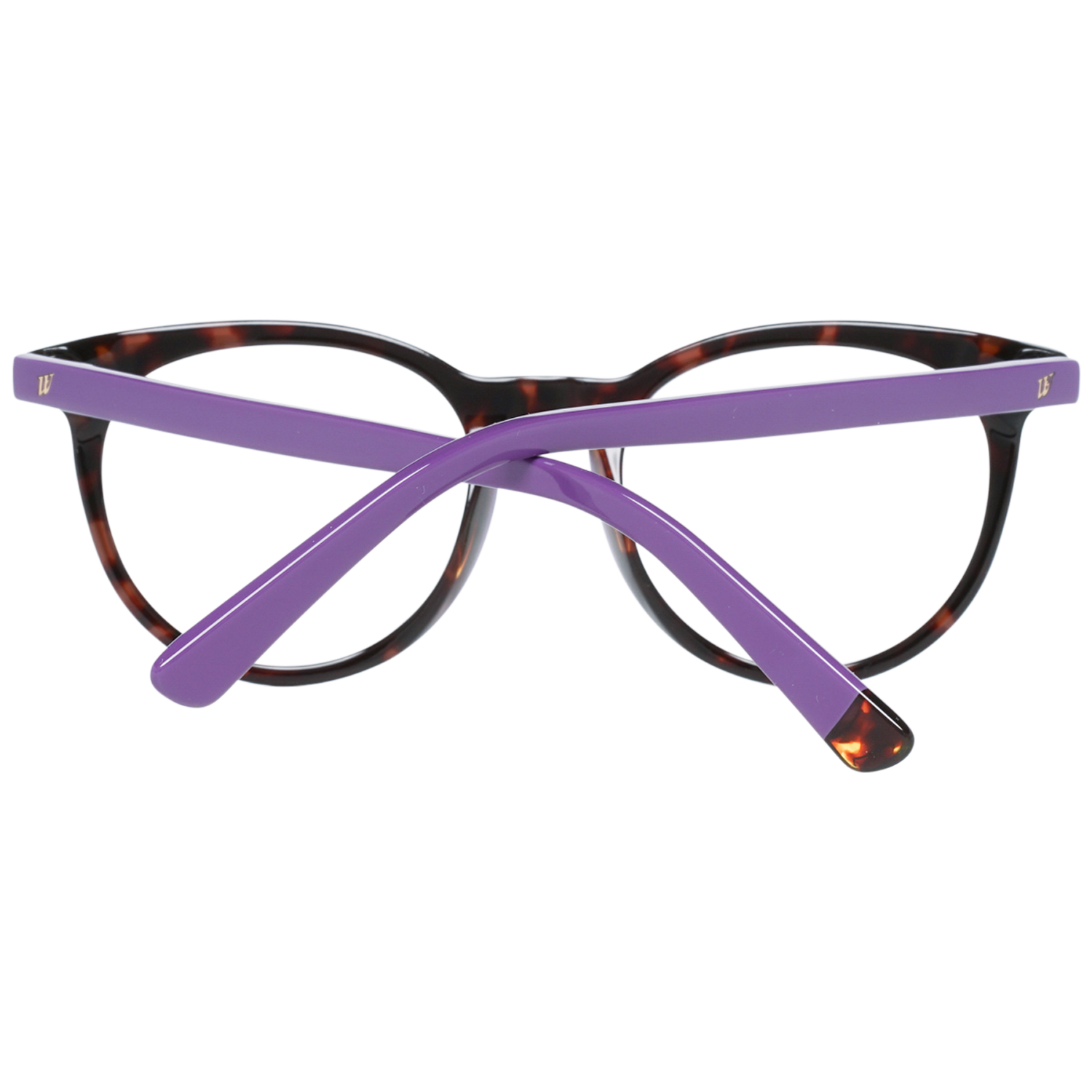 Web Optical Frame WE5251 A56 49