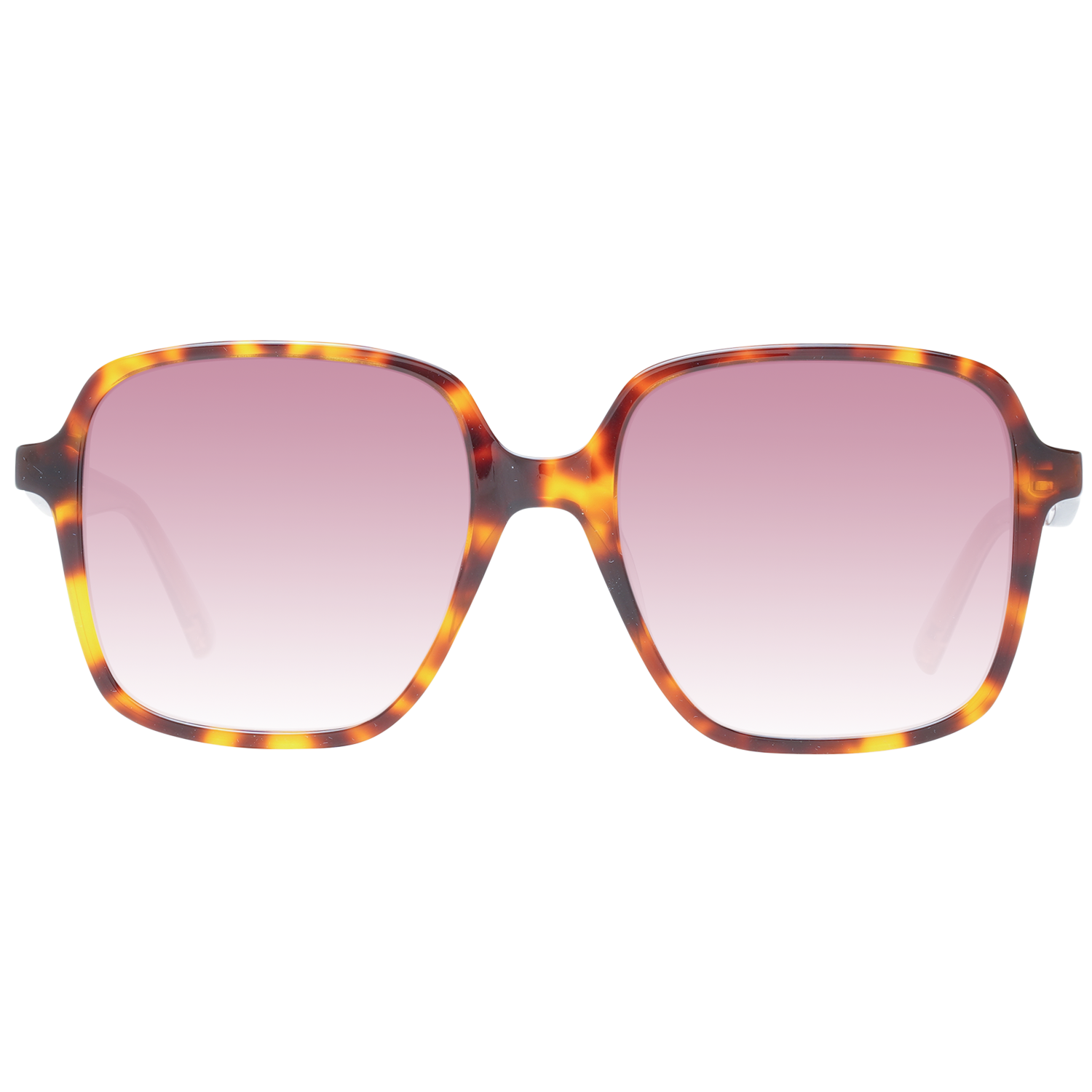 Ted Baker Sonnenbrille TB1688 001 52