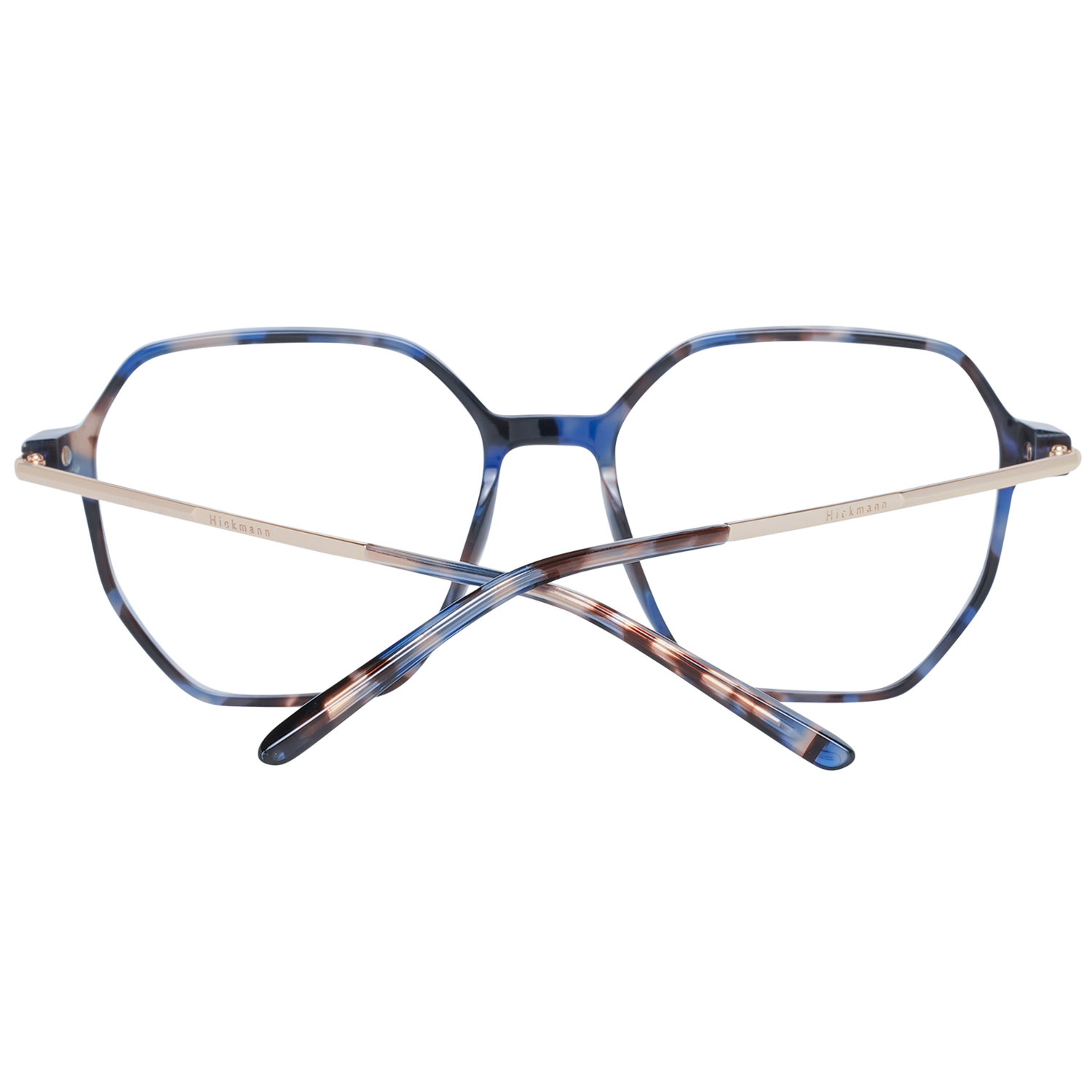 Ana Hickmann Optical Frame HI6223 G21 53