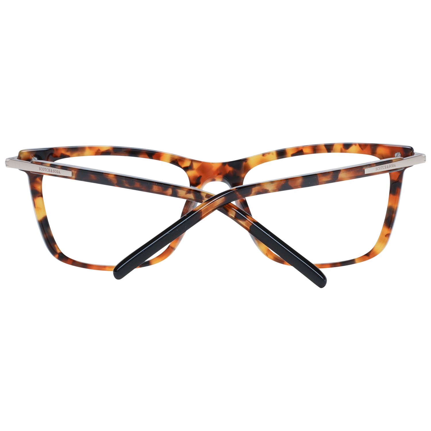 Scotch & Soda Brille SS3010 101 51