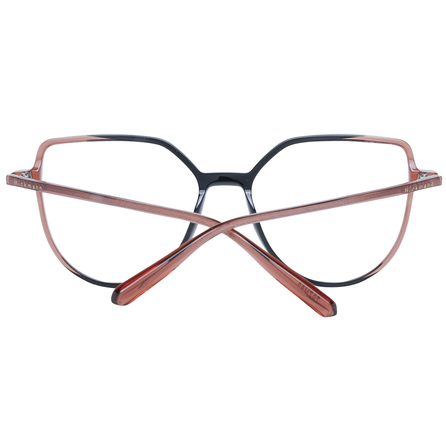 Ana Hickmann Optical Frame HI6196 P02 53