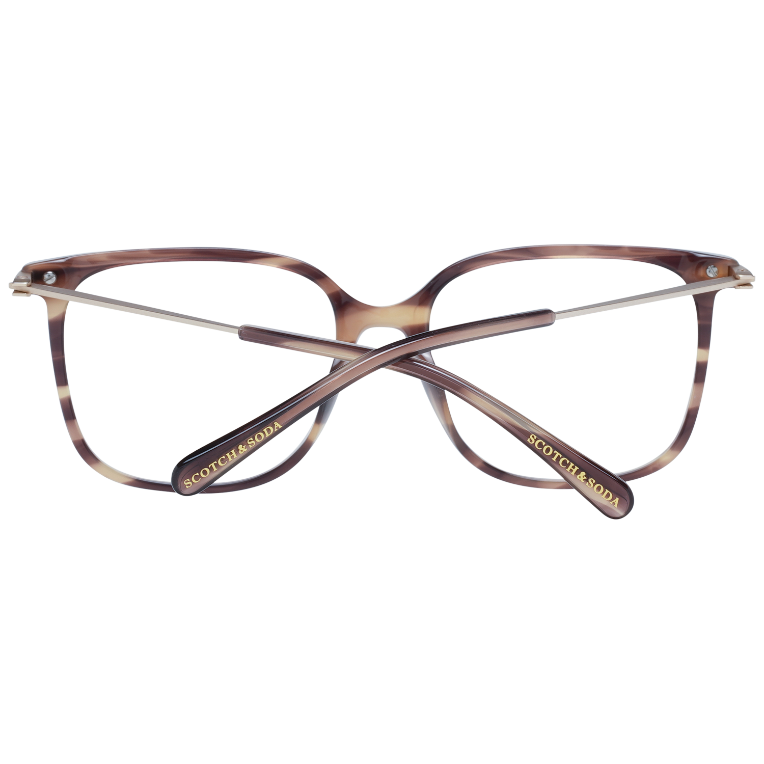 Scotch & Soda Brille SS3012 107 54