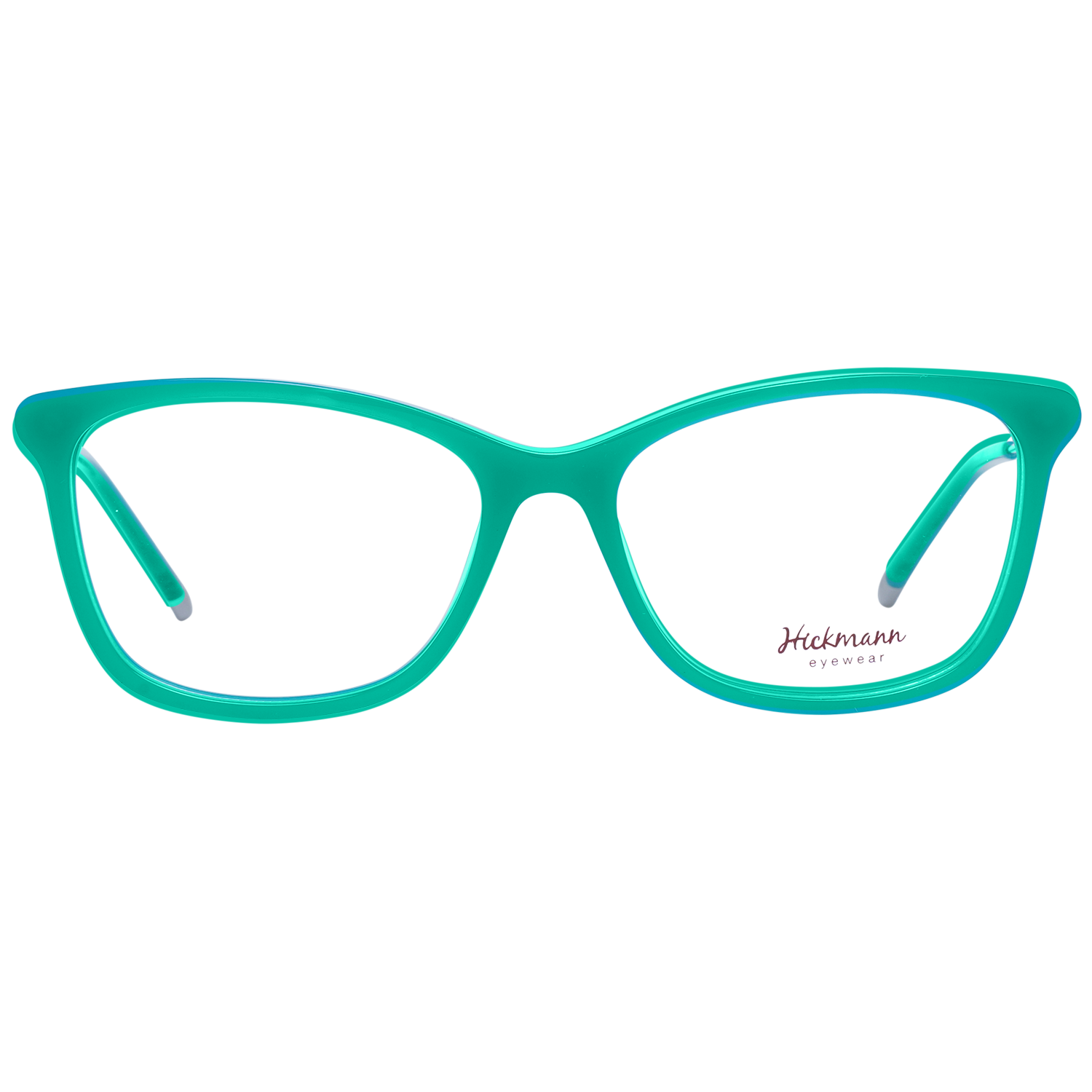 Ana Hickmann Optical Frame HI6067 T02 53